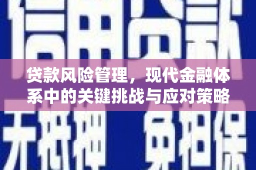 那玛夏贷款风险管理，现代金融体系中的关键挑战与应对策略