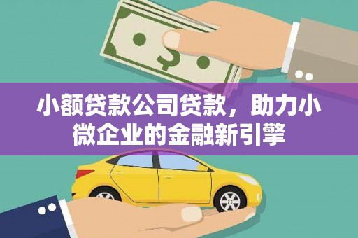 那玛夏小额贷款公司贷款，助力小微企业的金融新引擎