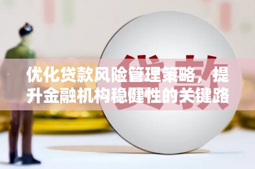 那玛夏优化贷款风险管理策略，提升金融机构稳健性的关键路径