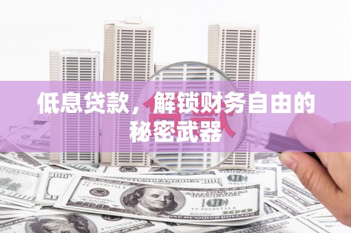 那玛夏低息贷款，解锁财务自由的秘密武器