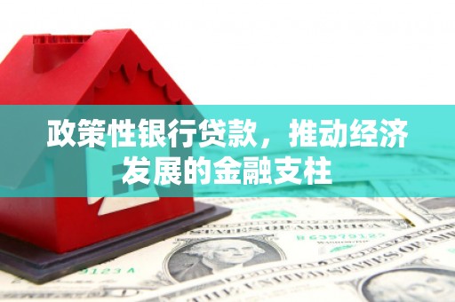 那玛夏政策性银行贷款，推动经济发展的金融支柱