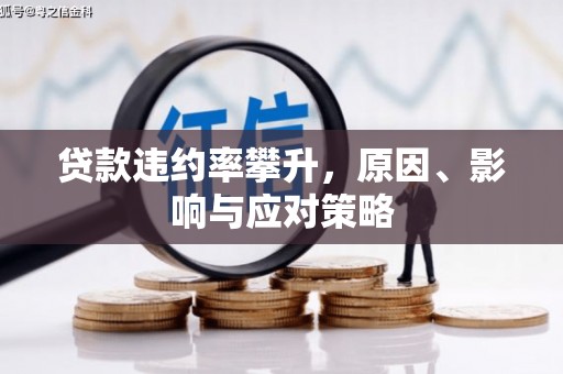 那玛夏贷款违约率攀升，原因、影响与应对策略