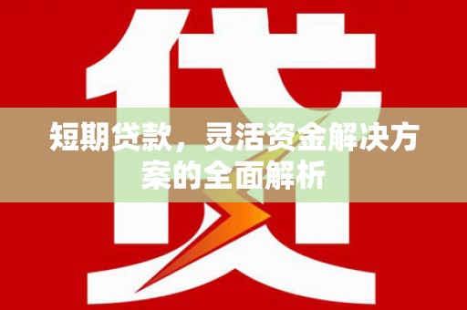 那玛夏短期贷款，灵活资金解决方案的全面解析