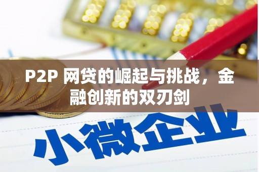 那玛夏P2P 网贷的崛起与挑战，金融创新的双刃剑