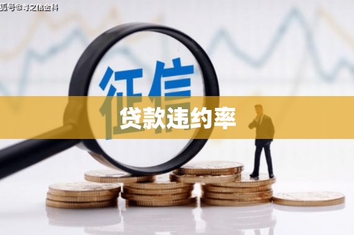 那玛夏贷款违约率