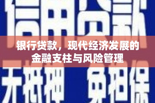 那玛夏银行贷款，现代经济发展的金融支柱与风险管理