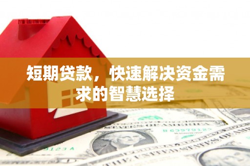 那玛夏短期贷款，快速解决资金需求的智慧选择