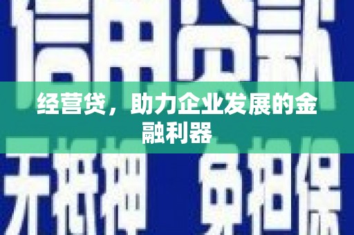 那玛夏经营贷，助力企业发展的金融利器
