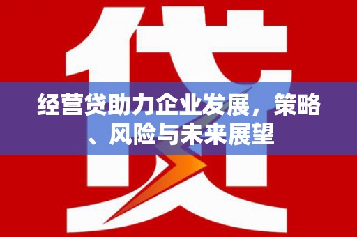 那玛夏经营贷助力企业发展，策略、风险与未来展望