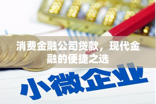 那玛夏消费金融公司贷款，现代金融的便捷之选