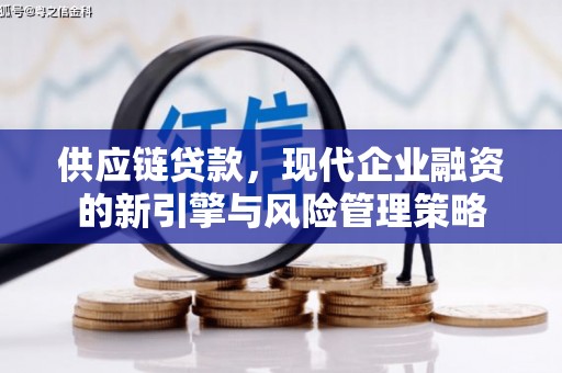 那玛夏供应链贷款，现代企业融资的新引擎与风险管理策略