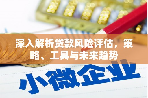 那玛夏深入解析贷款风险评估，策略、工具与未来趋势