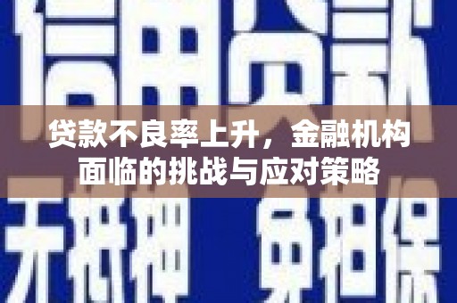 那玛夏贷款不良率上升，金融机构面临的挑战与应对策略