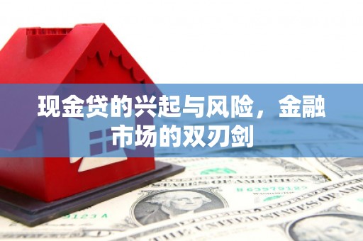 那玛夏现金贷的兴起与风险，金融市场的双刃剑