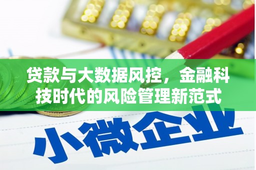那玛夏贷款与大数据风控，金融科技时代的风险管理新范式
