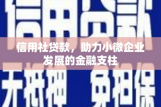 那玛夏信用社贷款，助力小微企业发展的金融支柱