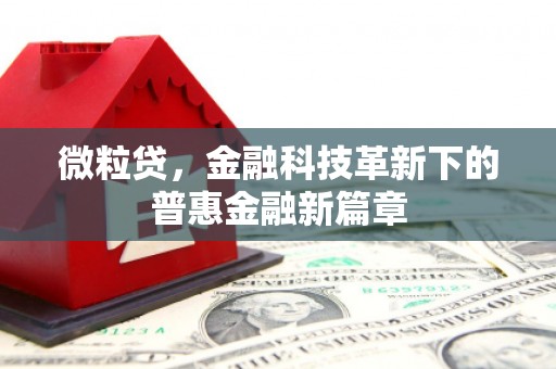 那玛夏微粒贷，金融科技革新下的普惠金融新篇章
