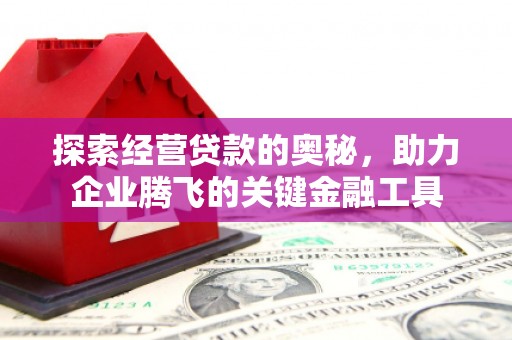 那玛夏探索经营贷款的奥秘，助力企业腾飞的关键金融工具