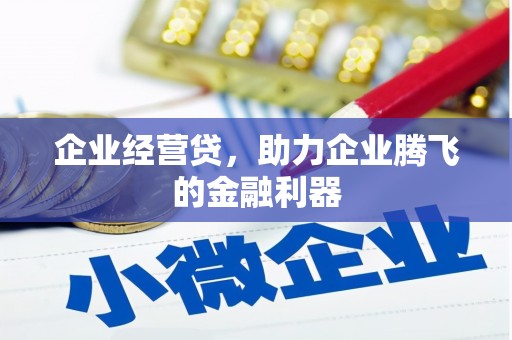 那玛夏企业经营贷，助力企业腾飞的金融利器