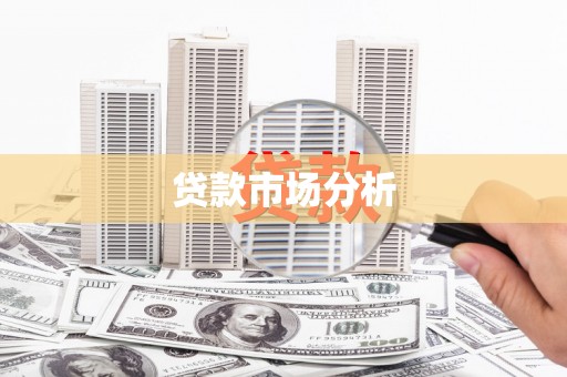 那玛夏贷款市场分析
