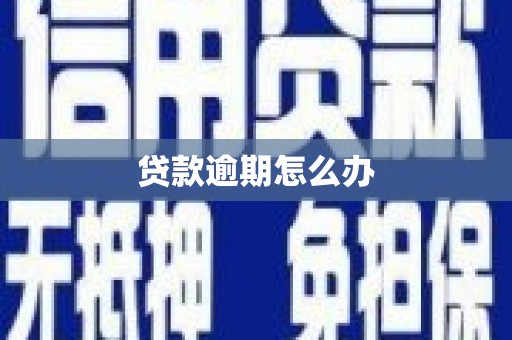 那玛夏贷款逾期怎么办