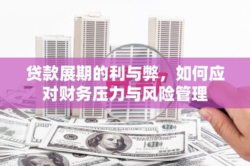 那玛夏贷款展期的利与弊，如何应对财务压力与风险管理
