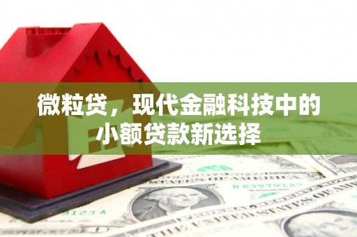 那玛夏微粒贷，现代金融科技中的小额贷款新选择