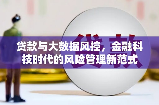 那玛夏贷款与大数据风控，金融科技时代的风险管理新范式