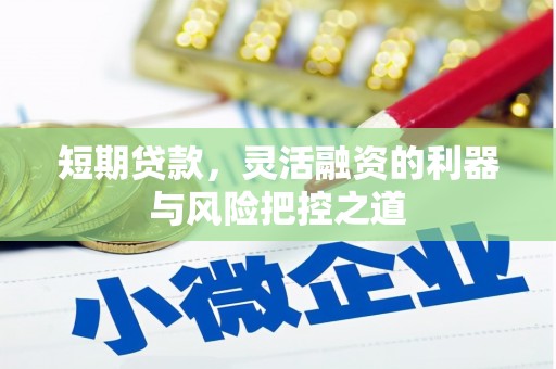 那玛夏短期贷款，灵活融资的利器与风险把控之道