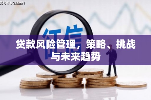那玛夏贷款风险管理，策略、挑战与未来趋势