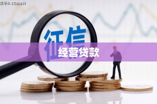 那玛夏经营贷款