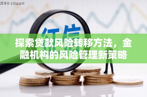 那玛夏探索贷款风险转移方法，金融机构的风险管理新策略
