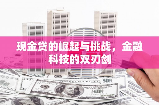 那玛夏现金贷的崛起与挑战，金融科技的双刃剑