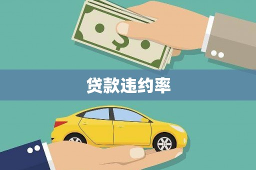 那玛夏贷款违约率