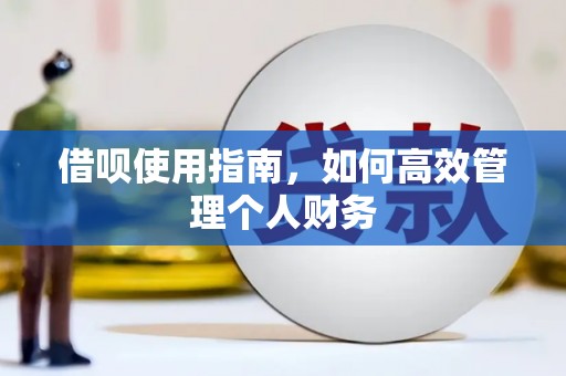 那玛夏借呗使用指南，如何高效管理个人财务