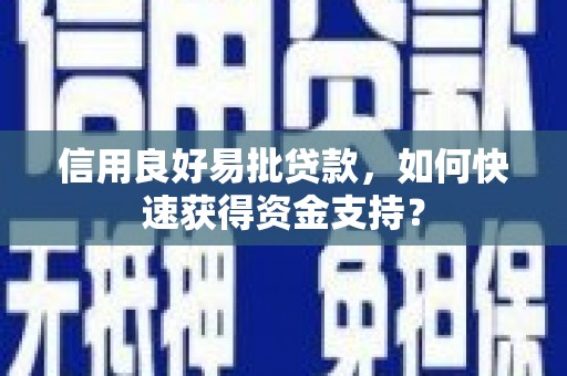 那玛夏信用良好易批贷款，如何快速获得资金支持？