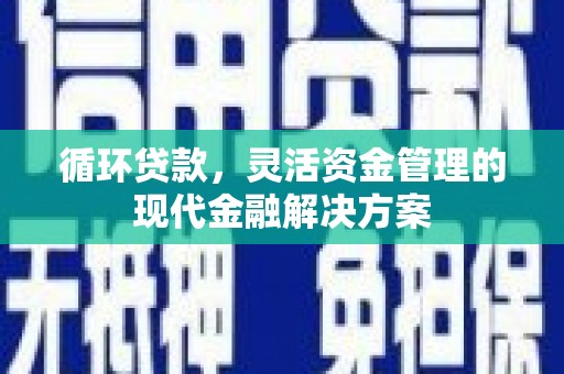那玛夏循环贷款，灵活资金管理的现代金融解决方案