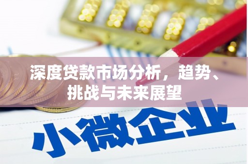 那玛夏深度贷款市场分析，趋势、挑战与未来展望