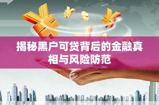 那玛夏揭秘黑户可贷背后的金融真相与风险防范