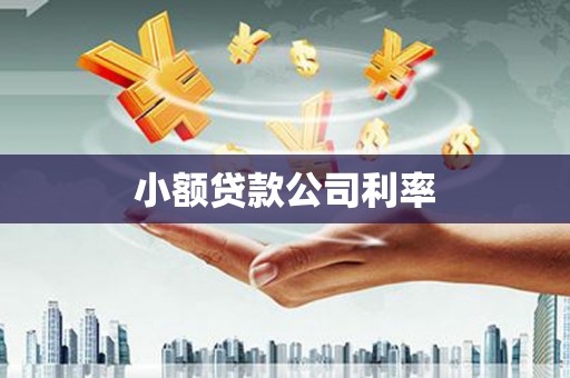 那玛夏小额贷款公司利率