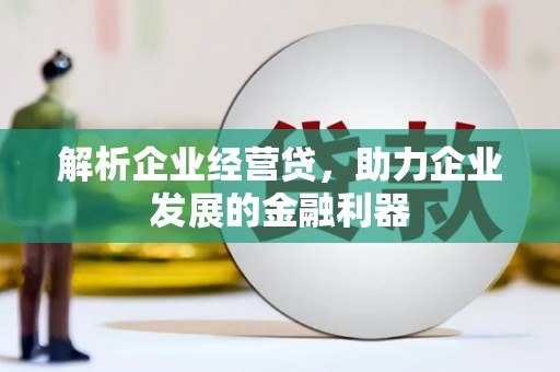 那玛夏解析企业经营贷，助力企业发展的金融利器