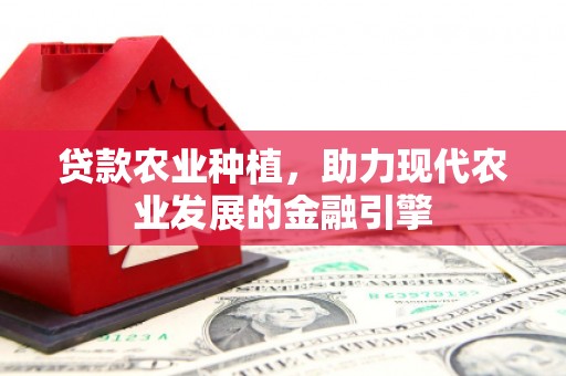 那玛夏贷款农业种植，助力现代农业发展的金融引擎
