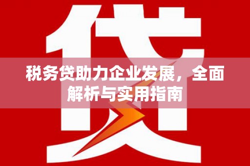 那玛夏税务贷助力企业发展，全面解析与实用指南