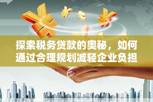 那玛夏探索税务贷款的奥秘，如何通过合理规划减轻企业负担