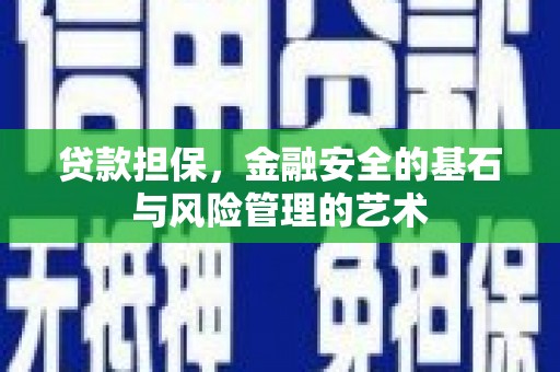 那玛夏贷款担保，金融安全的基石与风险管理的艺术