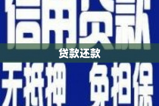 那玛夏贷款还款