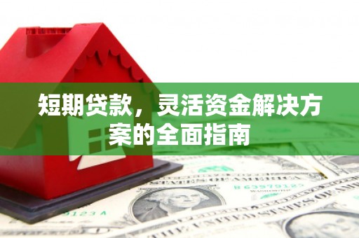 那玛夏短期贷款，灵活资金解决方案的全面指南