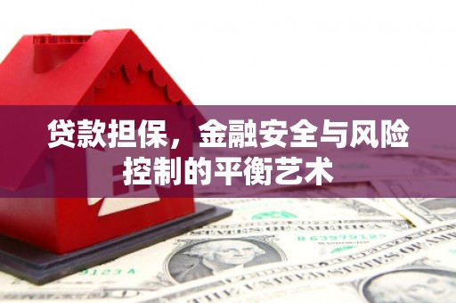 那玛夏贷款担保，金融安全与风险控制的平衡艺术