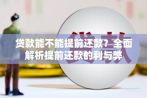 那玛夏贷款能不能提前还款？全面解析提前还款的利与弊