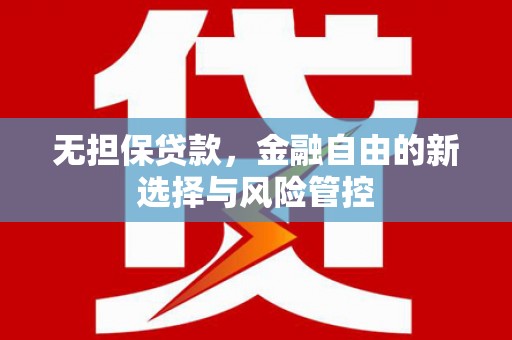 那玛夏无担保贷款，金融自由的新选择与风险管控